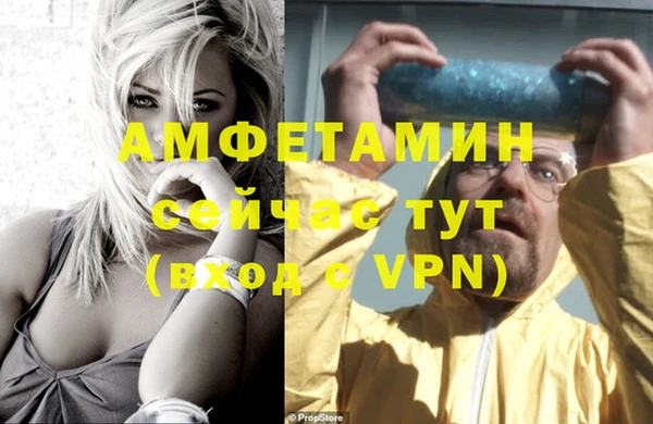 гашиш Богданович